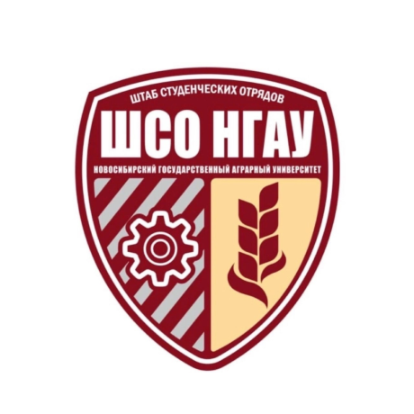 Штаб Студенческих Отрядов Новосибирского ГАУ